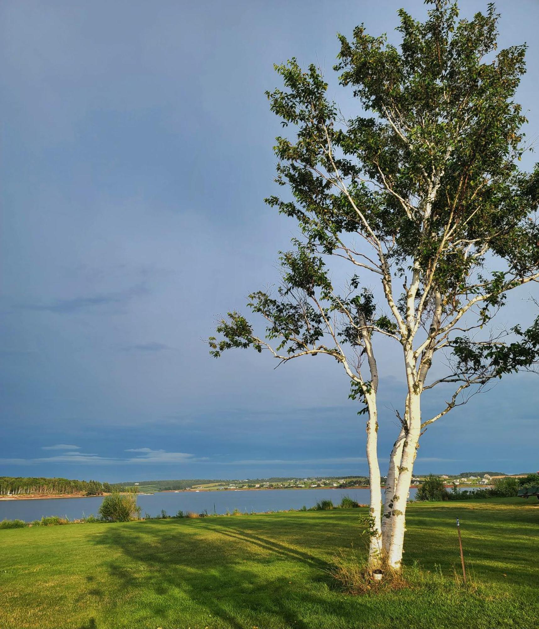 Margate Homestead 'Art House' /Views/Beaches/Golf Kensington Eksteriør billede